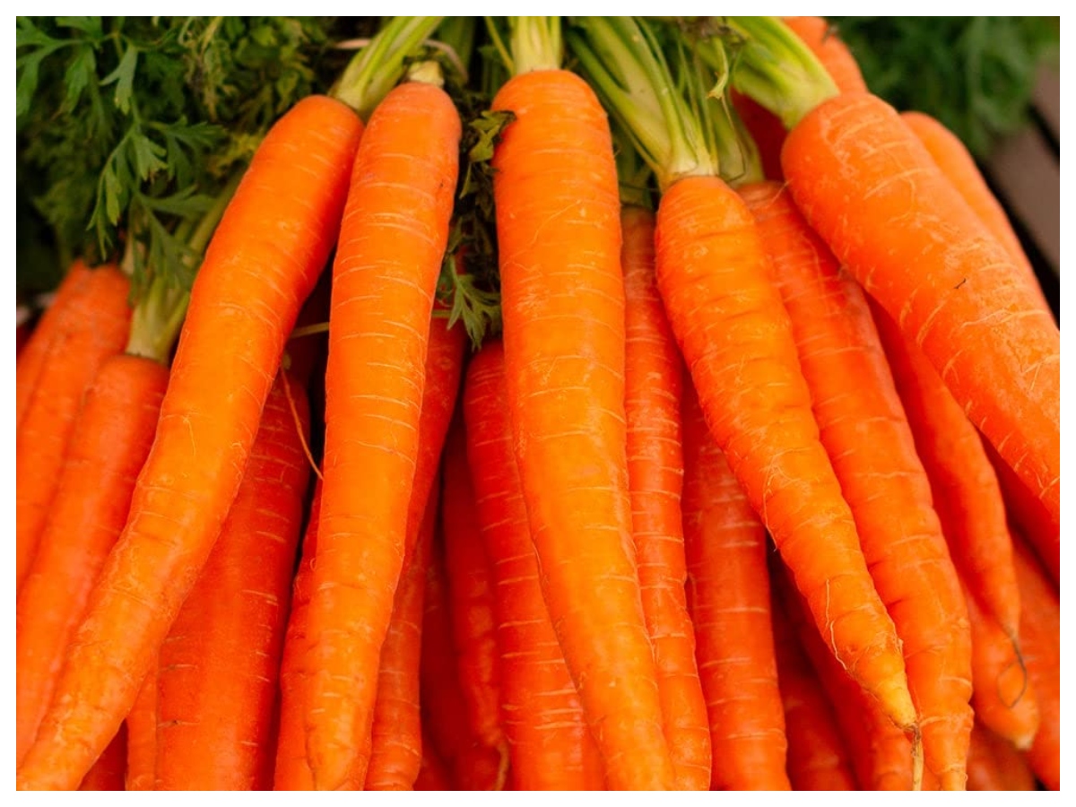 Health tips:  लाल, ऑरेंज और काली गाजर, जानिए आंखों के लिए कौन सी है सबसे ज्यादा असरदार - Photo Gallery