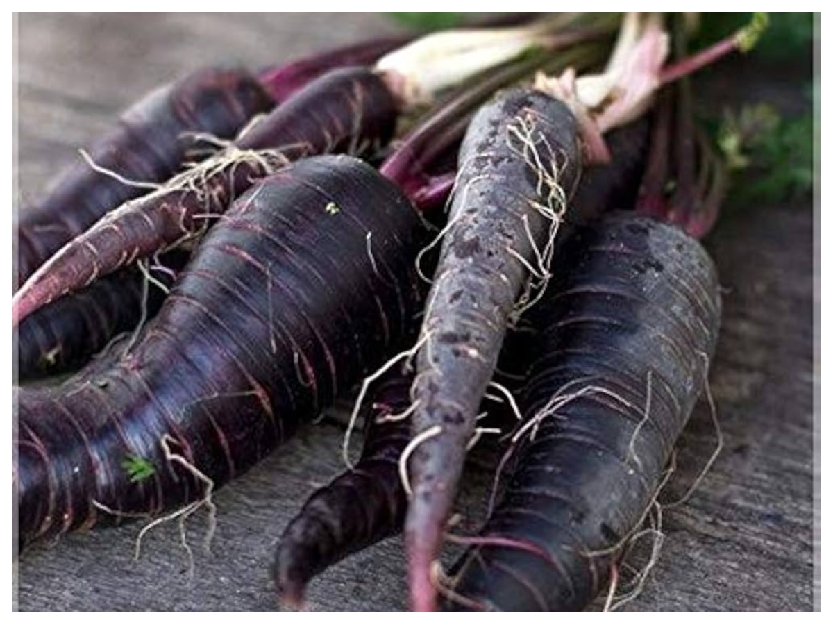 Health tips:  लाल, ऑरेंज और काली गाजर, जानिए आंखों के लिए कौन सी है सबसे ज्यादा असरदार - Photo Gallery