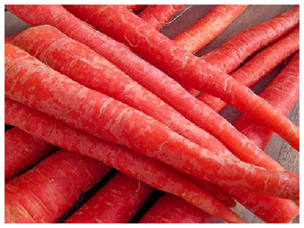 Health tips:  लाल, ऑरेंज और काली गाजर, जानिए आंखों के लिए कौन सी है सबसे ज्यादा असरदार - Photo Gallery