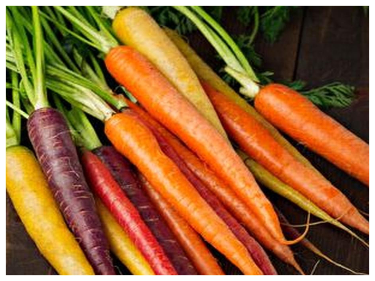 Health tips:  लाल, ऑरेंज और काली गाजर, जानिए आंखों के लिए कौन सी है सबसे ज्यादा असरदार - Photo Gallery