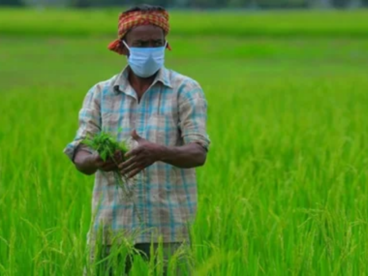 This time there is a delay in the installment of some farmers. - Photo Gallery