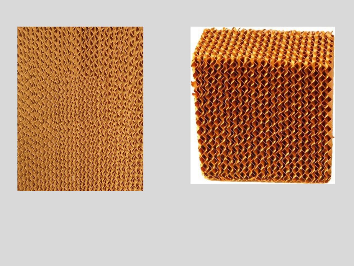 Cooler Tips: हनीकॉम्ब या डेजर्ट कूलर पैड कौन सी घास देती है ज्यादा ठंडी हवा, जानें दोनों के फायदे - Photo Gallery