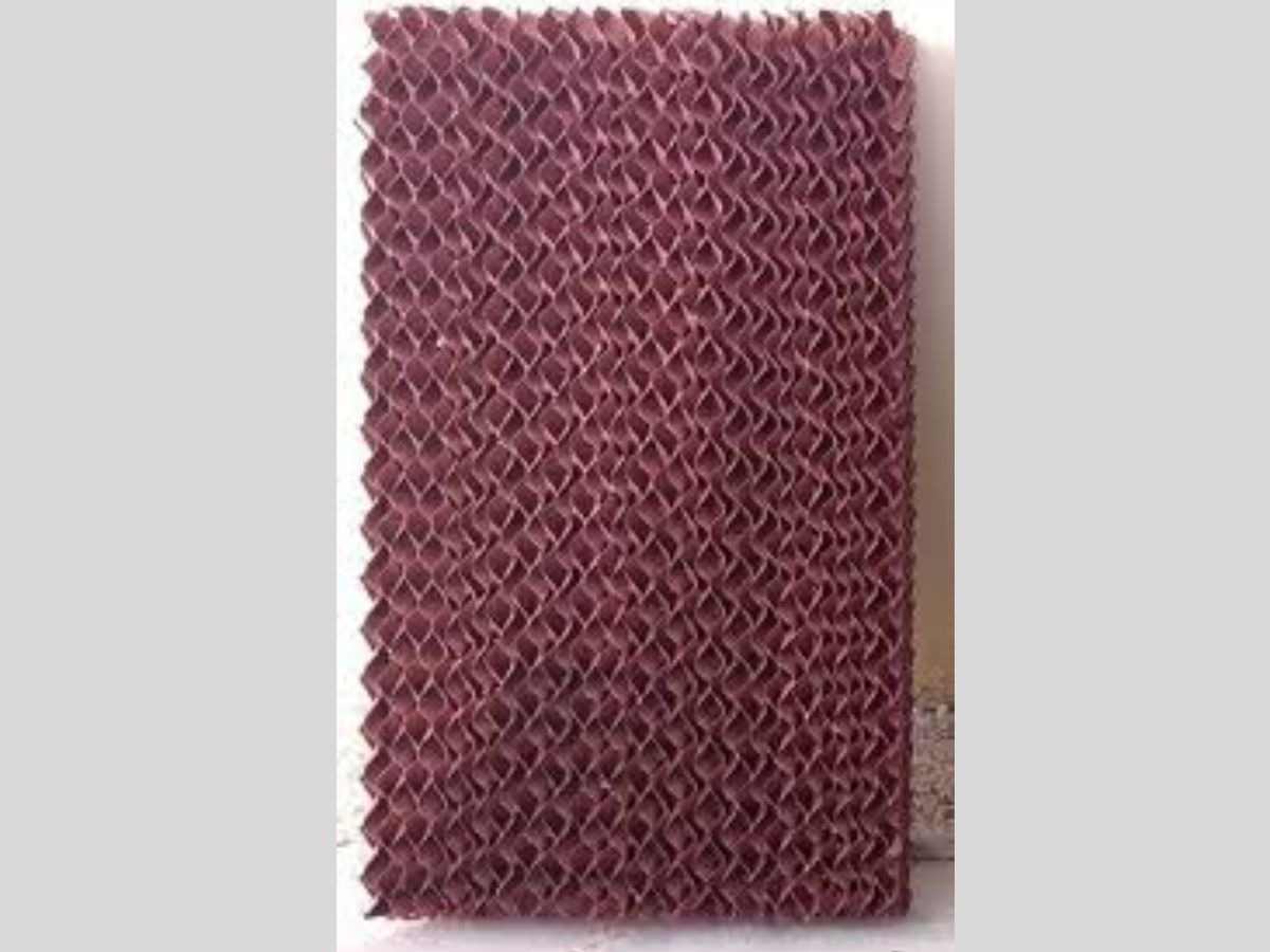 Cooler Tips: हनीकॉम्ब या डेजर्ट कूलर पैड कौन सी घास देती है ज्यादा ठंडी हवा, जानें दोनों के फायदे - Photo Gallery