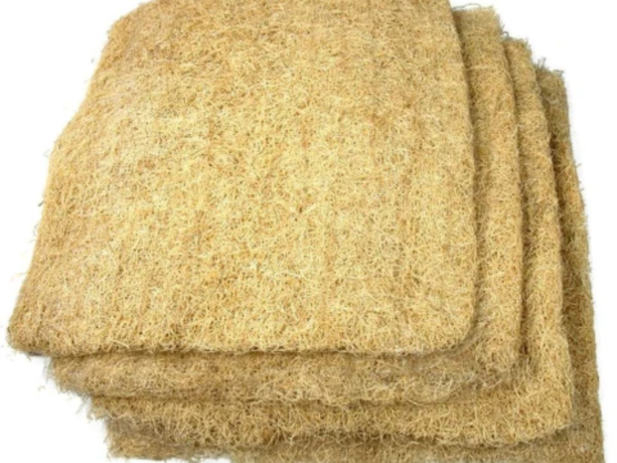 Cooler Tips: हनीकॉम्ब या डेजर्ट कूलर पैड कौन सी घास देती है ज्यादा ठंडी हवा, जानें दोनों के फायदे - Photo Gallery