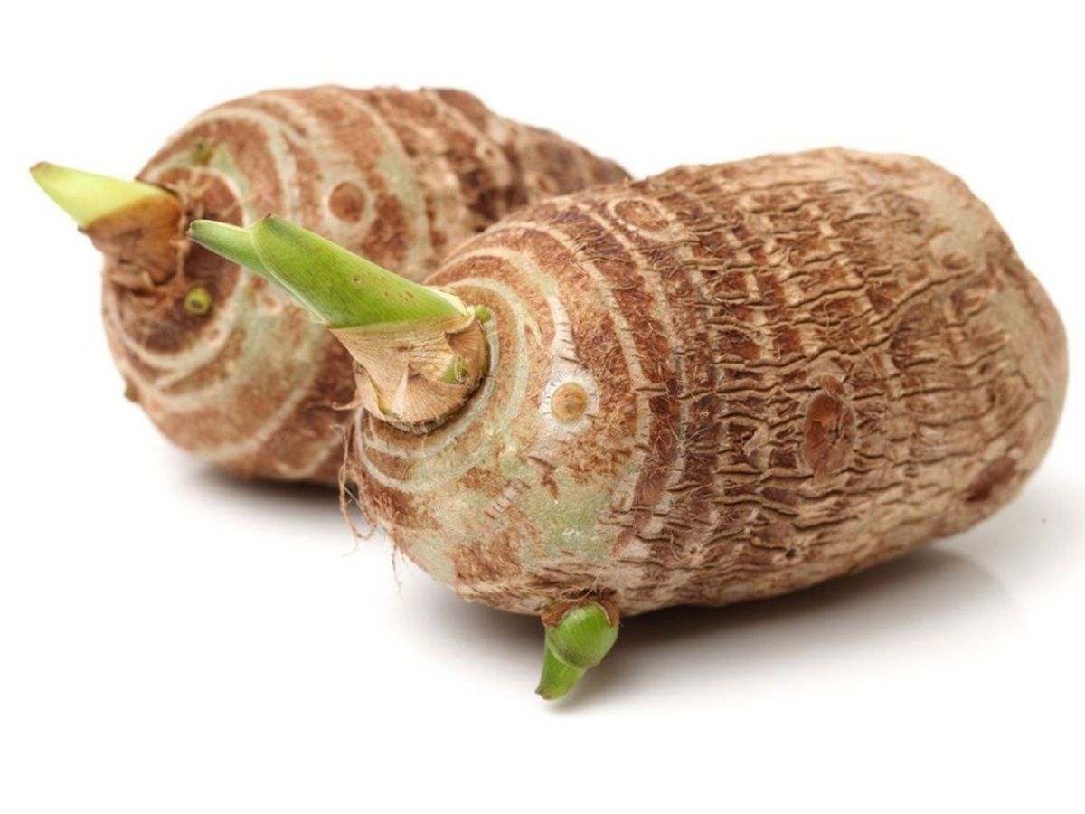 सेहत का रखें खास ध्यान, चैत्र नवरात्रि के व्रत के दौरान खा सकते हैं ये 7 सब्जियां; देखें लिस्ट - Photo Gallery