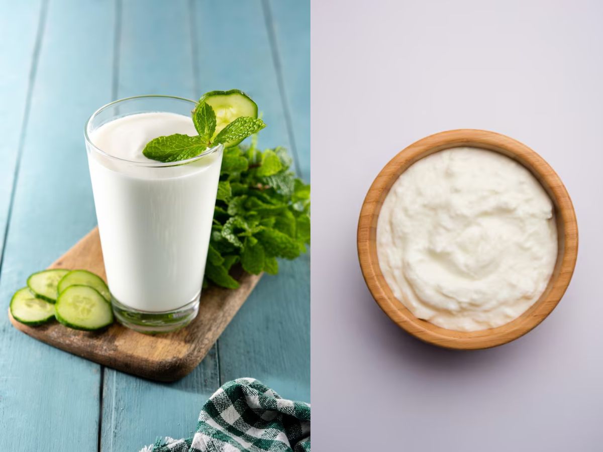 Curd vs Buttermilk: दही या छाछ किसका सेवन होता है ज्यादा लाभदायक, जानें दोनों में अंतर - Photo Gallery
