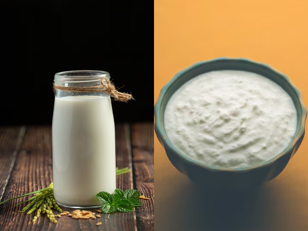 Curd vs Buttermilk: दही या छाछ किसका सेवन होता है ज्यादा लाभदायक, जानें दोनों में अंतर - Photo Gallery