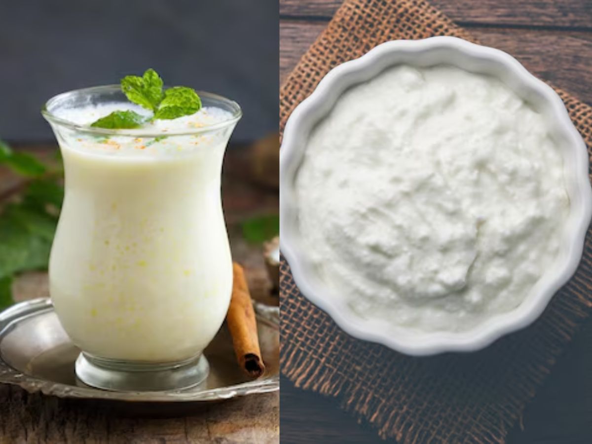 Curd vs Buttermilk: दही या छाछ किसका सेवन होता है ज्यादा लाभदायक, जानें दोनों में अंतर - Photo Gallery