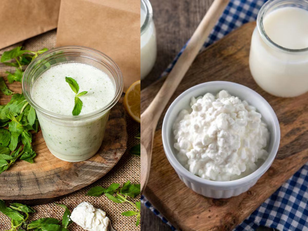Curd vs Buttermilk: दही या छाछ किसका सेवन होता है ज्यादा लाभदायक, जानें दोनों में अंतर - Photo Gallery