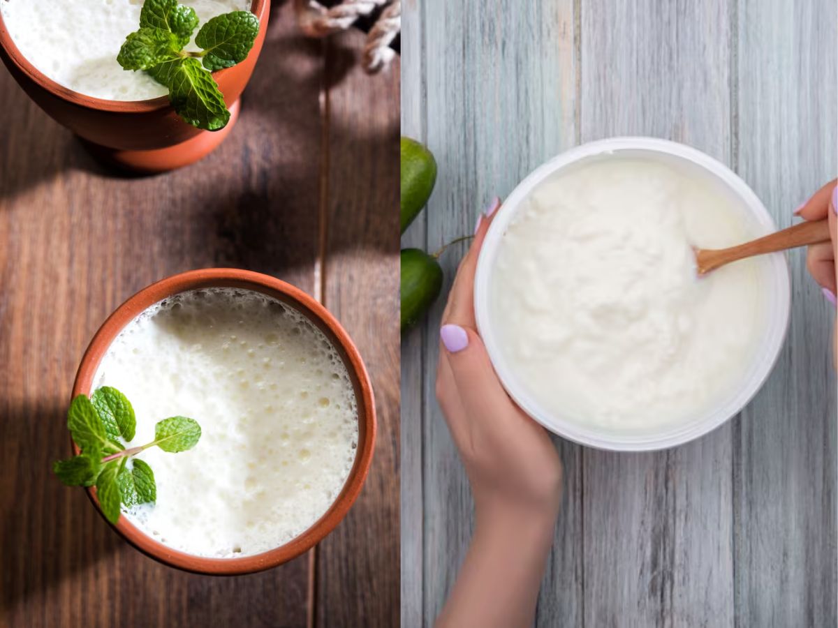 Curd vs Buttermilk: दही या छाछ किसका सेवन होता है ज्यादा लाभदायक, जानें दोनों में अंतर - Photo Gallery