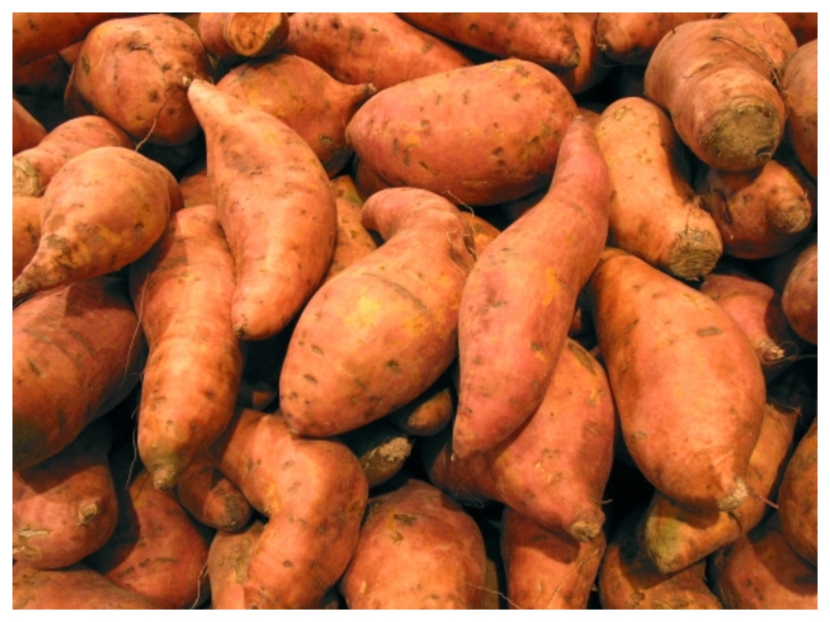 Diet rules: किस मौसम में क्या खाना सही? जानें आयुर्वेद का 12 महीनों वाला डाइट नियम - Photo Gallery