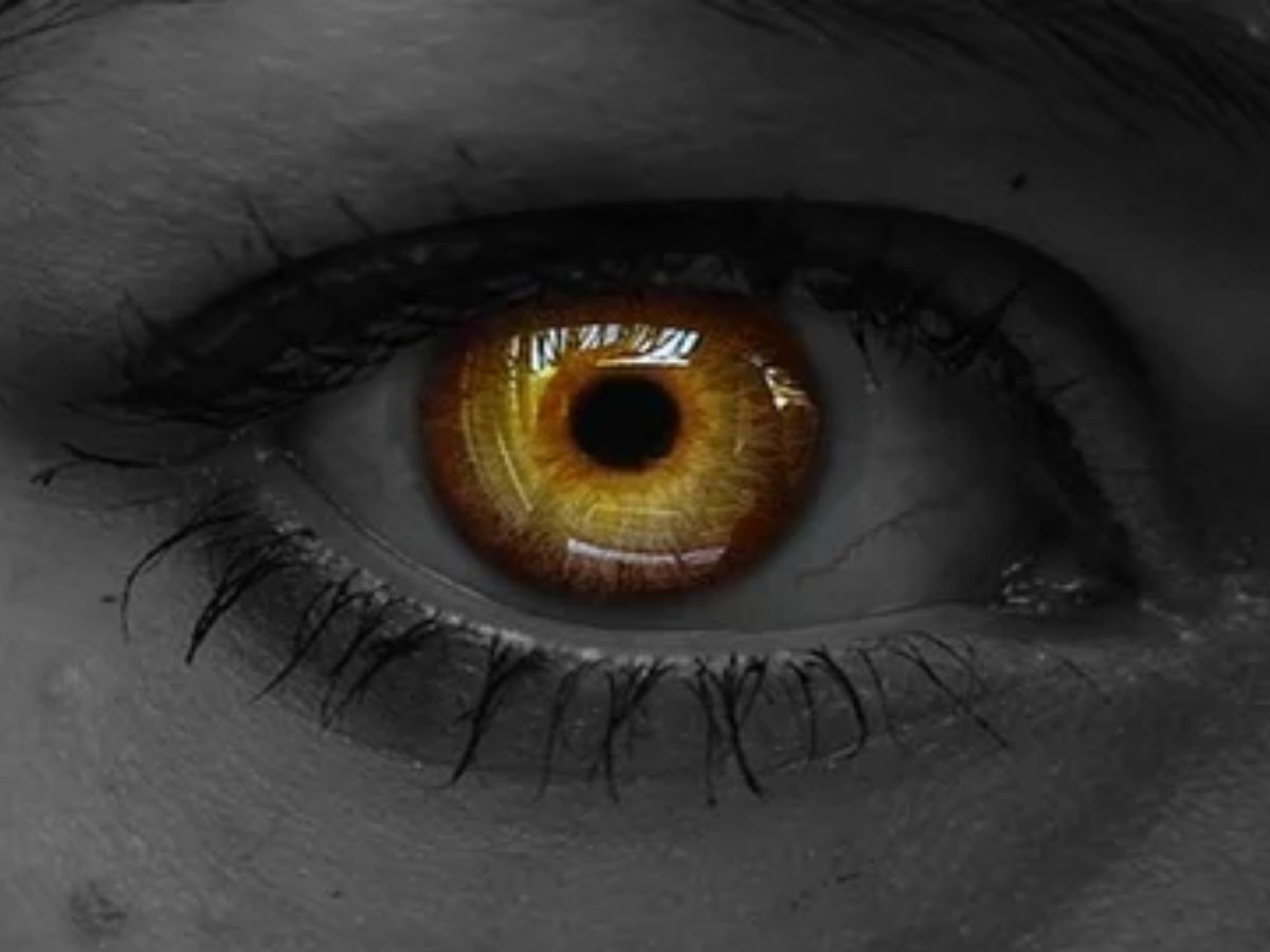 Indian Evil Eye Traditions: नमक से उतारा और नींबू मिर्ची का सहारा! बुरी नजर से बचने के लिए भारतीय अपनाते हैं ये टोटके - Photo Gallery