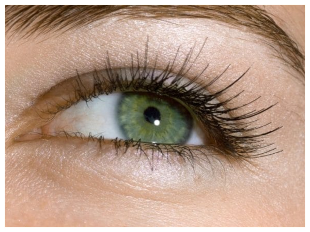 Eye Color Personality: आंखों का रंग खोलता है आपके स्वभाव का राज, जानें क्या कहता है सामुद्रिक शास्त्र - Photo Gallery