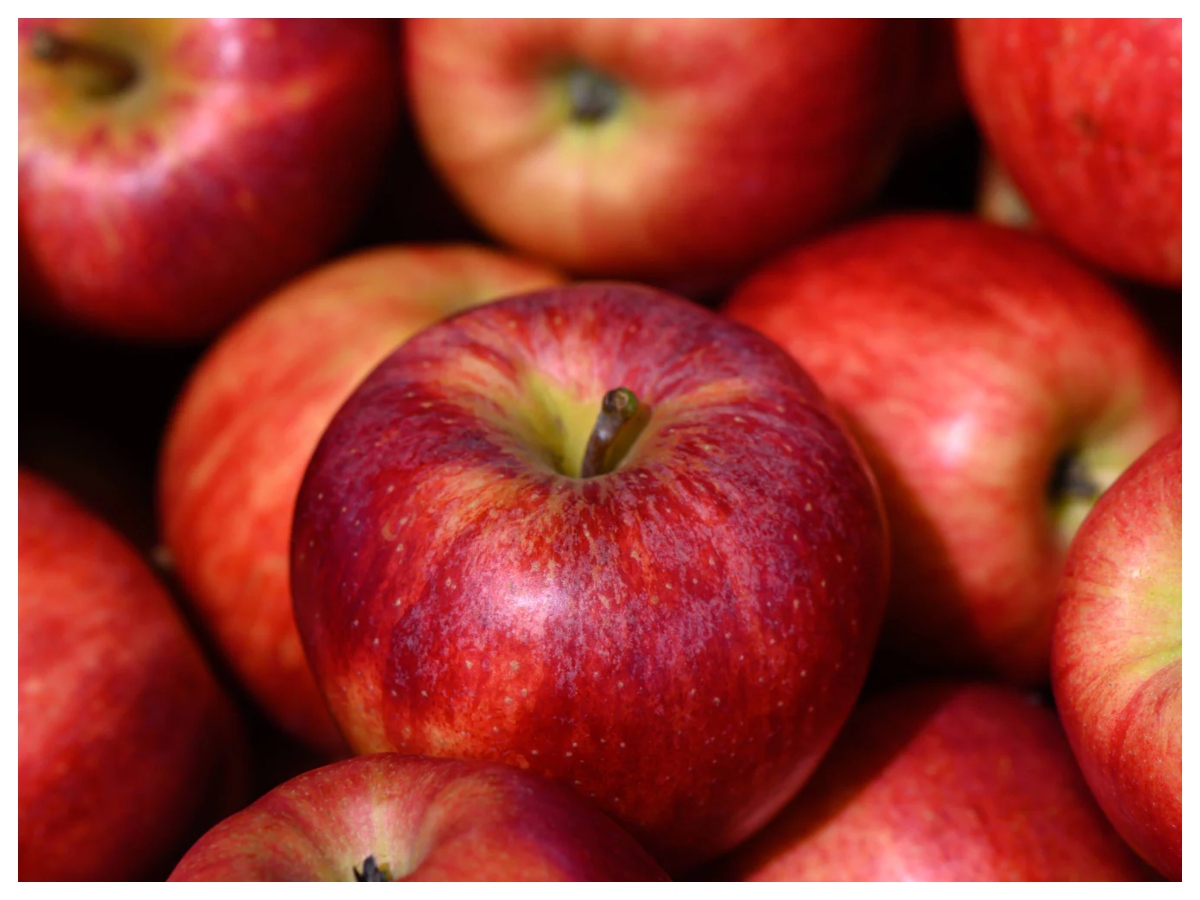 Fruits that increase blood: खून की कमी दूर करेंगे ये फल, डाइट में करें शामिल तेजी से बढ़ेगा हीमोग्लोबिन - Photo Gallery