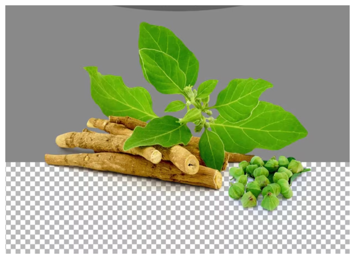 Benefits of Giloy: क्या है गिलोय, क्यों आयुर्वेद में मानी जाती है चमत्कारी जड़ी-बूटी,जानिए इसके गुण - Photo Gallery