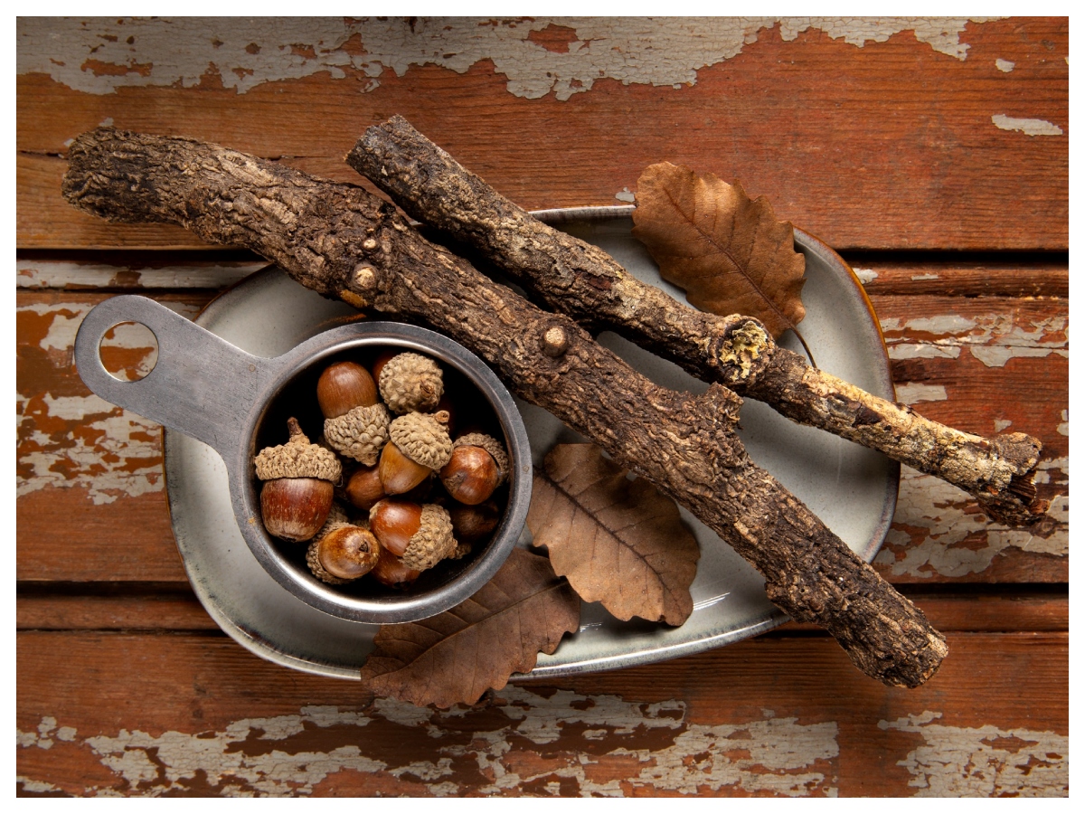 Benefits of Giloy: क्या है गिलोय, क्यों आयुर्वेद में मानी जाती है चमत्कारी जड़ी-बूटी,जानिए इसके गुण - Photo Gallery