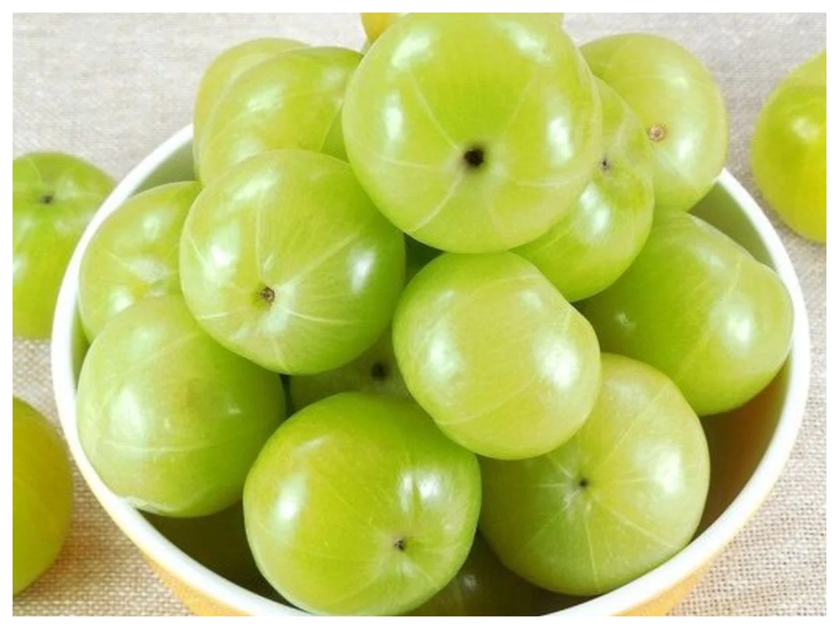 Hair Care Tips: देसी नुस्खों से बाल बनेंगे मुलायम और मजबूत, जानिए आसान तरीके - Photo Gallery