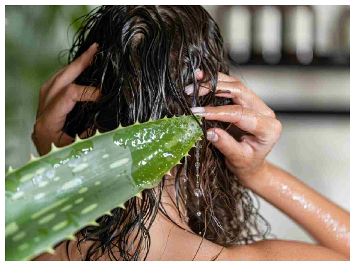 Hair Care Tips: देसी नुस्खों से बाल बनेंगे मुलायम और मजबूत, जानिए आसान तरीके - Photo Gallery