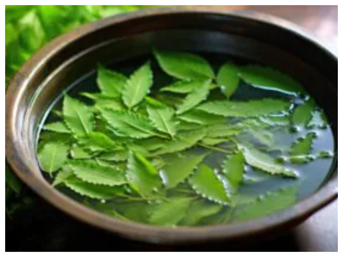 Hair Care Tips: देसी नुस्खों से बाल बनेंगे मुलायम और मजबूत, जानिए आसान तरीके - Photo Gallery