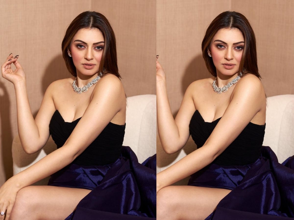 Hansika Motwani Divorce: सहेली के एक्स से रचाई थी शादी, अब 4 साल बाद हुआ तलाक; आखिर क्यों नहीं चल पाया हंसिका-सोहेल का रिश्ता - Photo Gallery