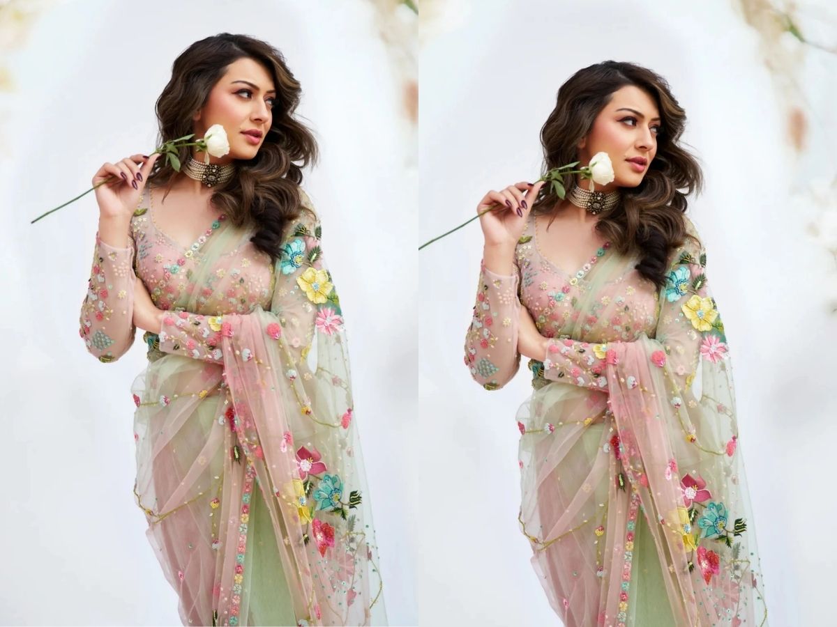 Hansika Motwani Divorce: सहेली के एक्स से रचाई थी शादी, अब 4 साल बाद हुआ तलाक; आखिर क्यों नहीं चल पाया हंसिका-सोहेल का रिश्ता - Photo Gallery