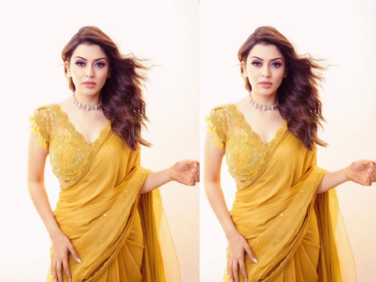 Hansika Motwani Divorce: सहेली के एक्स से रचाई थी शादी, अब 4 साल बाद हुआ तलाक; आखिर क्यों नहीं चल पाया हंसिका-सोहेल का रिश्ता - Photo Gallery