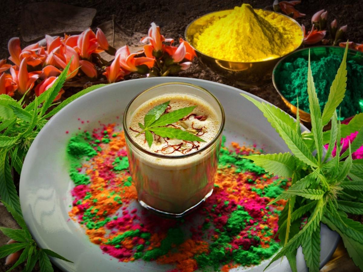 Bhang Health Risks: होली पर भांग पीने से पहले पढ़ लें ये खबर! डॉक्टर ने बताए फेफड़ों से जुड़े बड़े खतरे - Photo Gallery