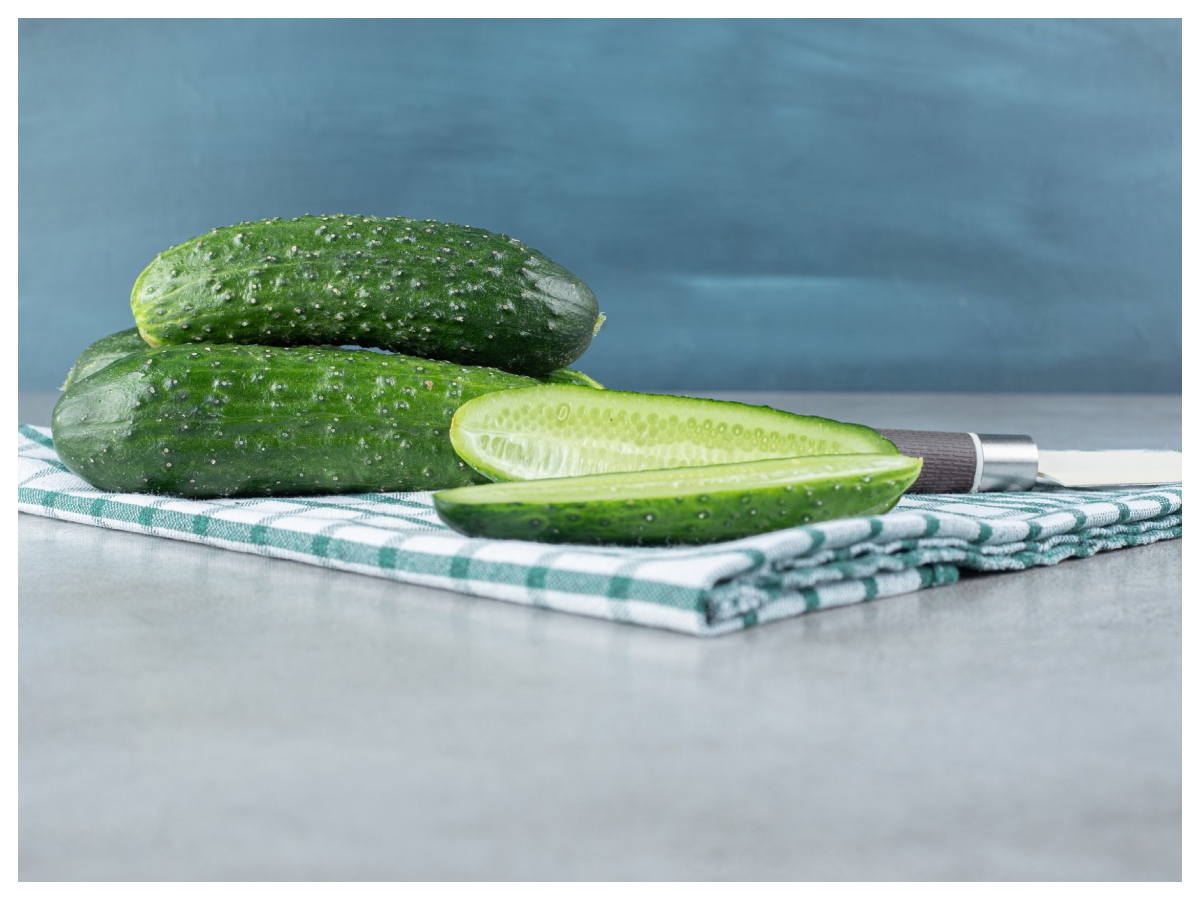 Benefits of eating cucumber: खीरे का सिरा घिसते ही क्यों निकलता है सफेद झाग, क्या है इसका राज - Photo Gallery