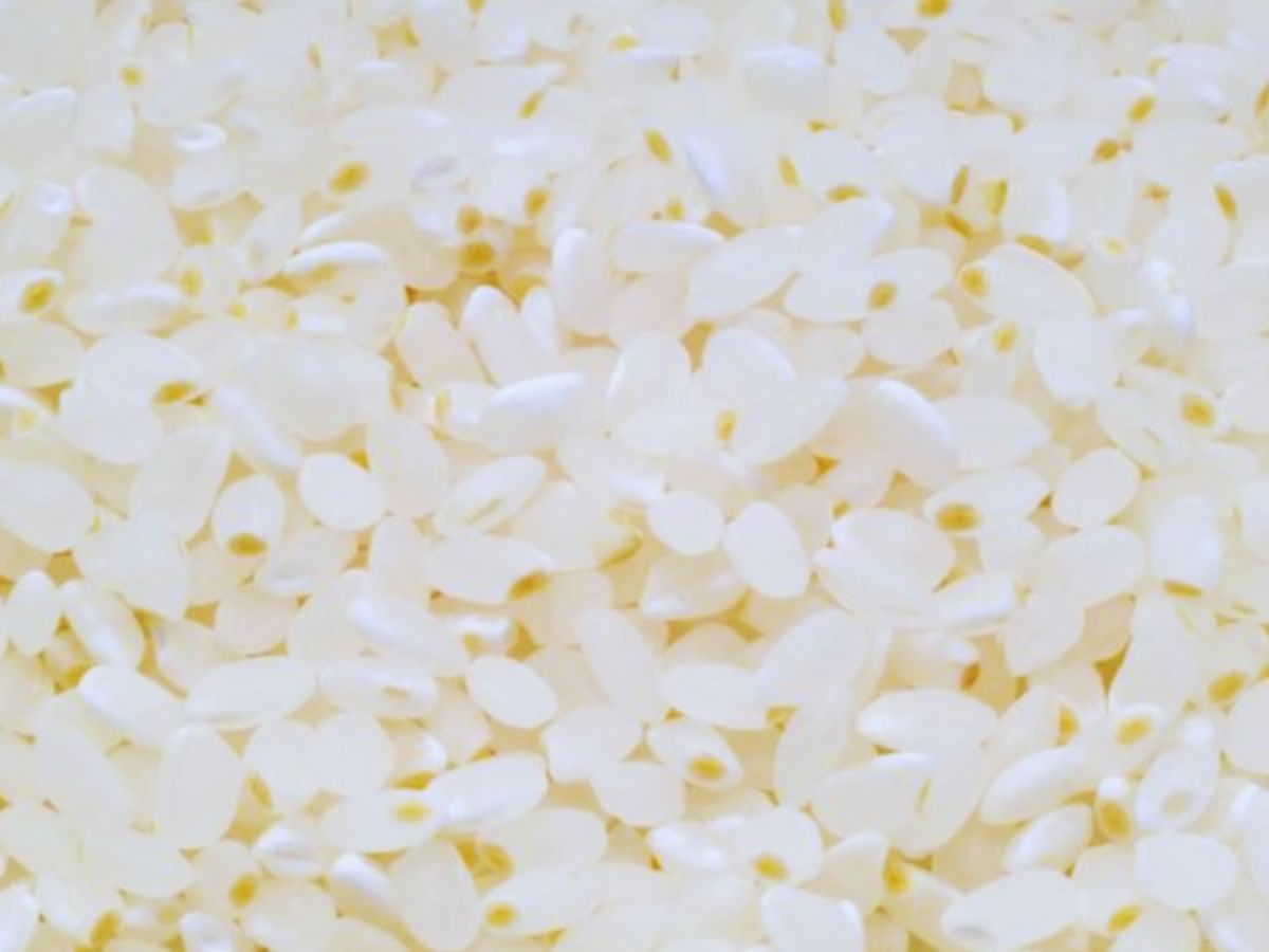 ये है दुनिया का सबसे महंगा चावल, 840 ग्राम के लिए देने पड़ते है 10,000, जानें इसका नाम और खासियत - Photo Gallery