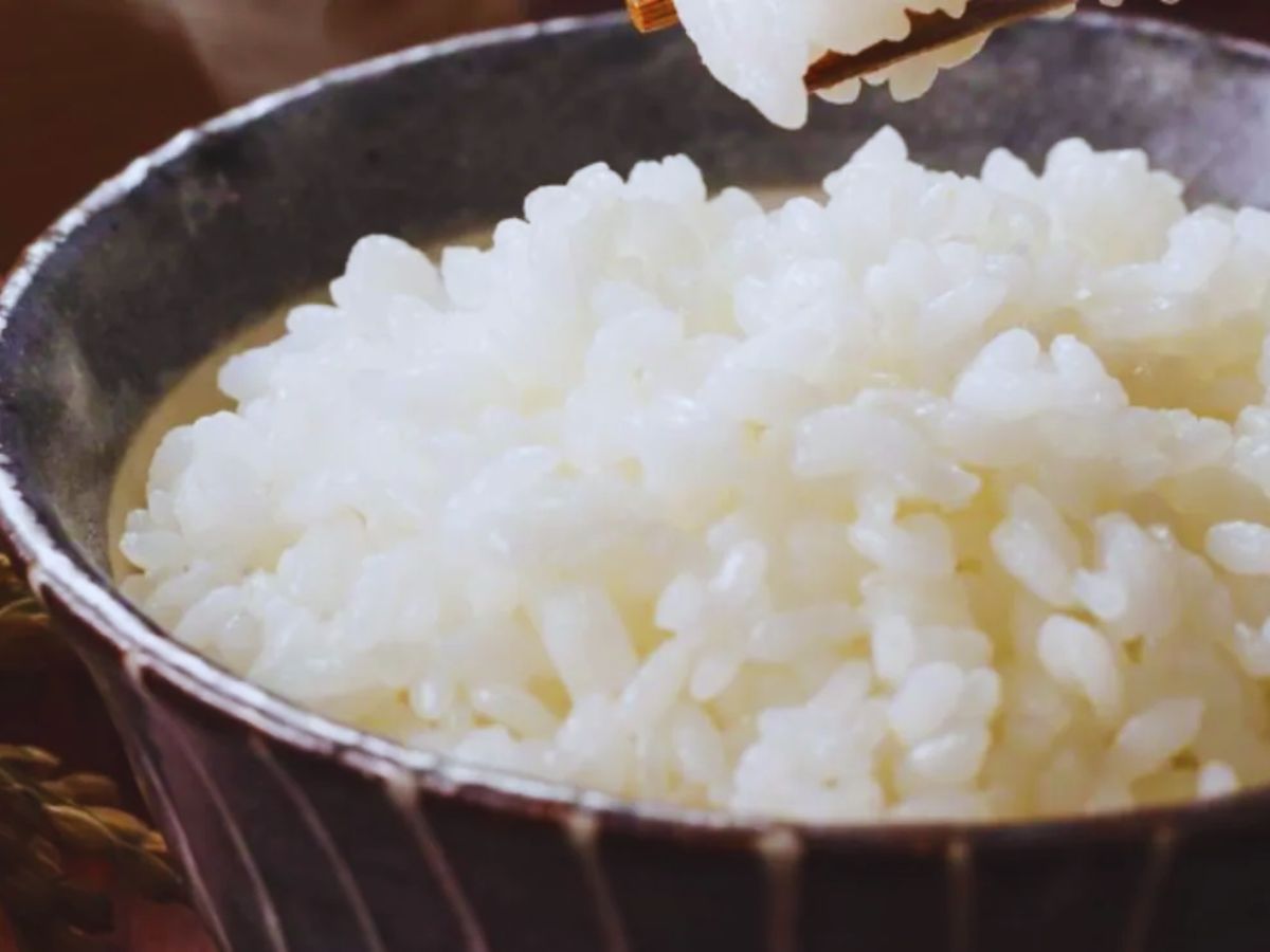 ये है दुनिया का सबसे महंगा चावल, 840 ग्राम के लिए देने पड़ते है 10,000, जानें इसका नाम और खासियत - Photo Gallery