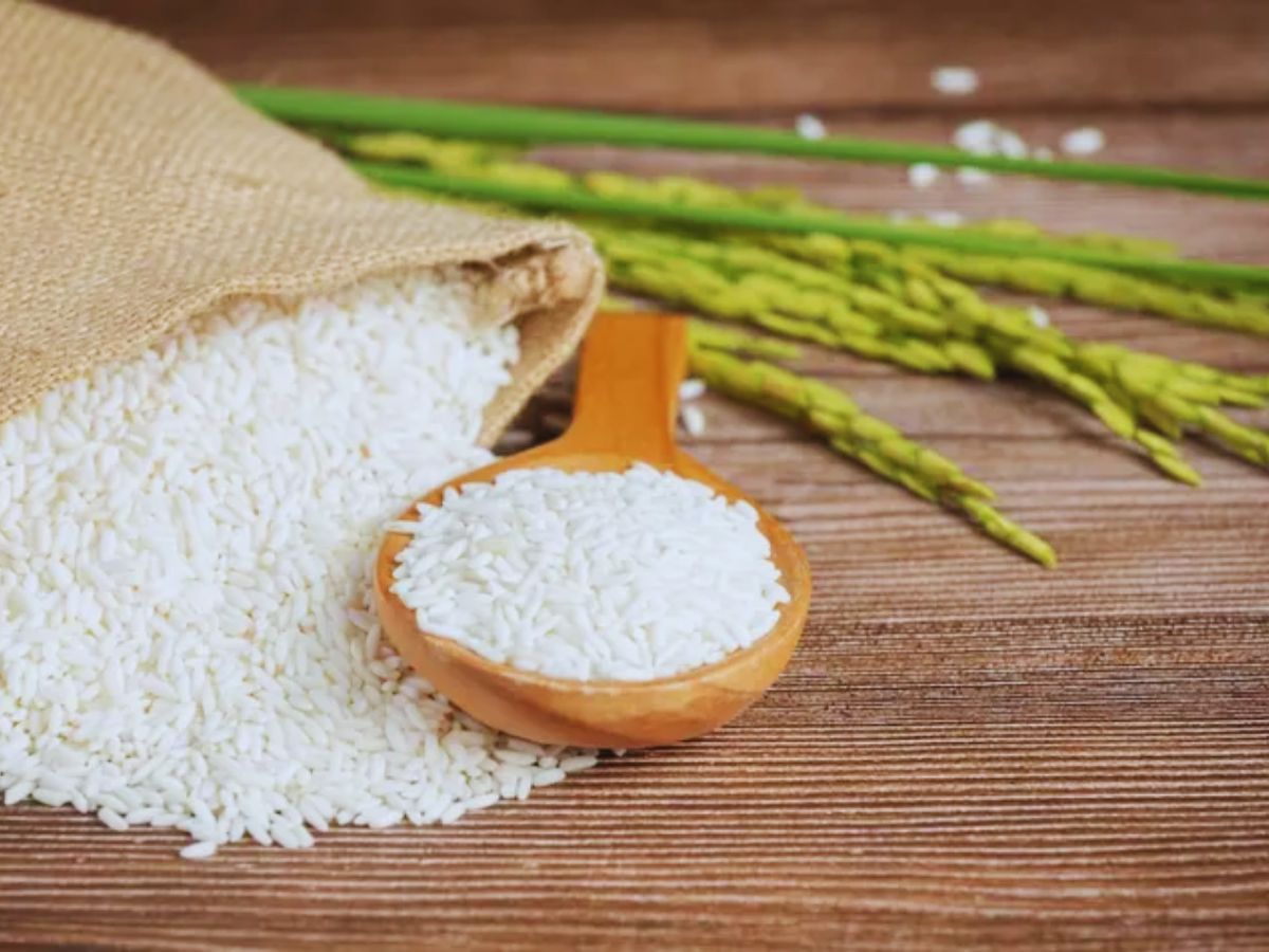 ये है दुनिया का सबसे महंगा चावल, 840 ग्राम के लिए देने पड़ते है 10,000, जानें इसका नाम और खासियत - Photo Gallery