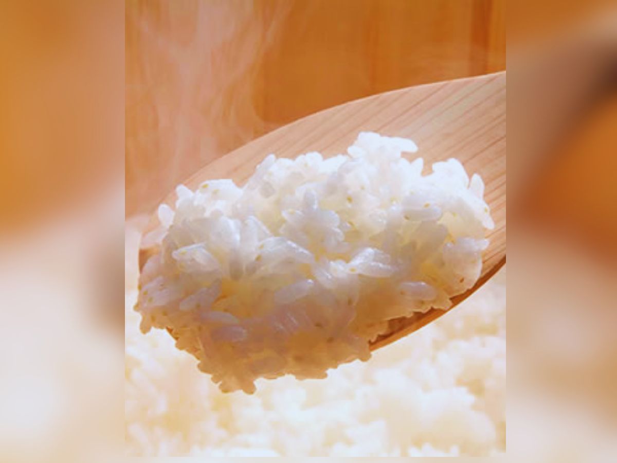 ये है दुनिया का सबसे महंगा चावल, 840 ग्राम के लिए देने पड़ते है 10,000, जानें इसका नाम और खासियत - Photo Gallery