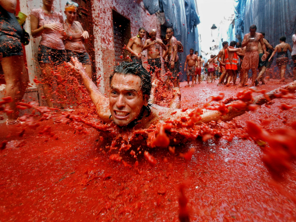 la tomatina - Photo Gallery