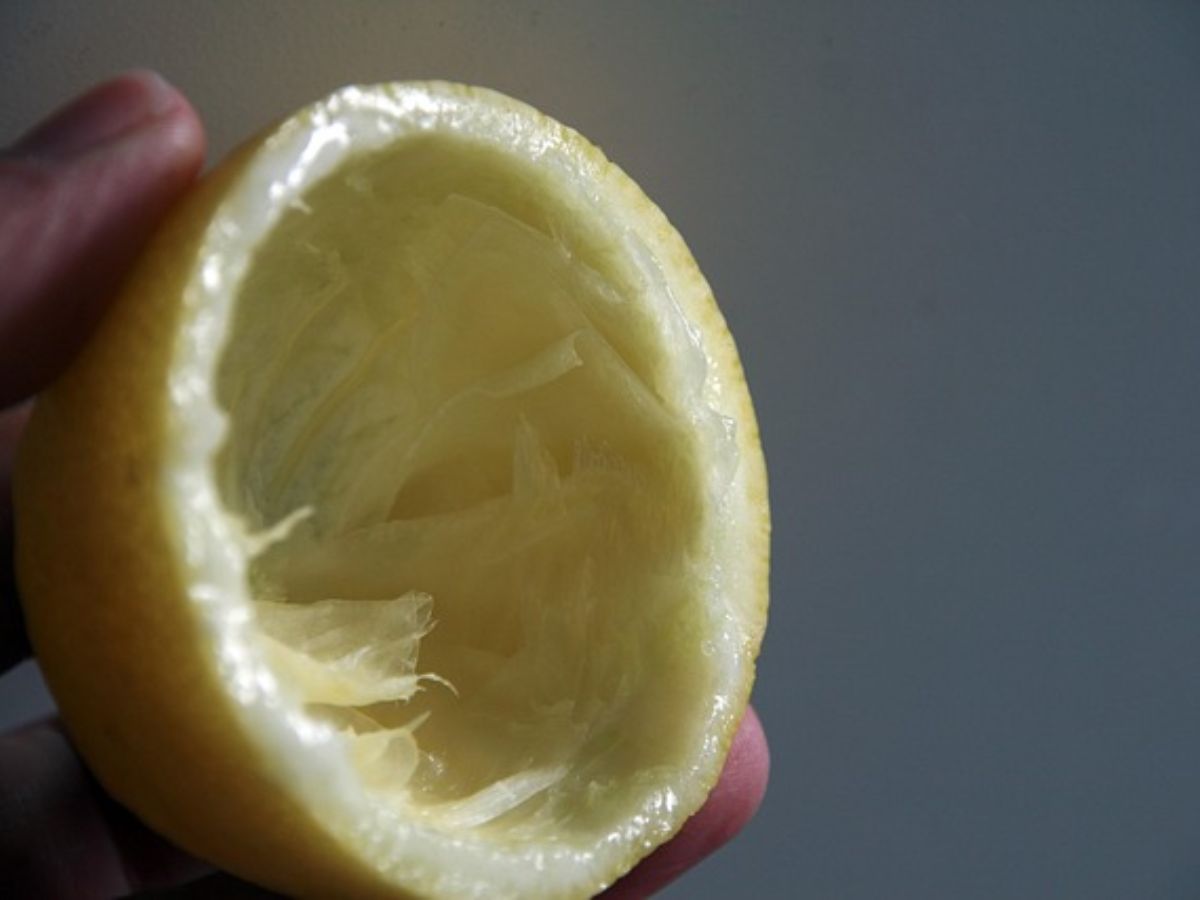Lemon Peel Uses: हर बार फेंक देते हैं नींबू के छिलके? अब कभी नहीं करेंगे ये गलती, जानें इसके फायदे - Photo Gallery