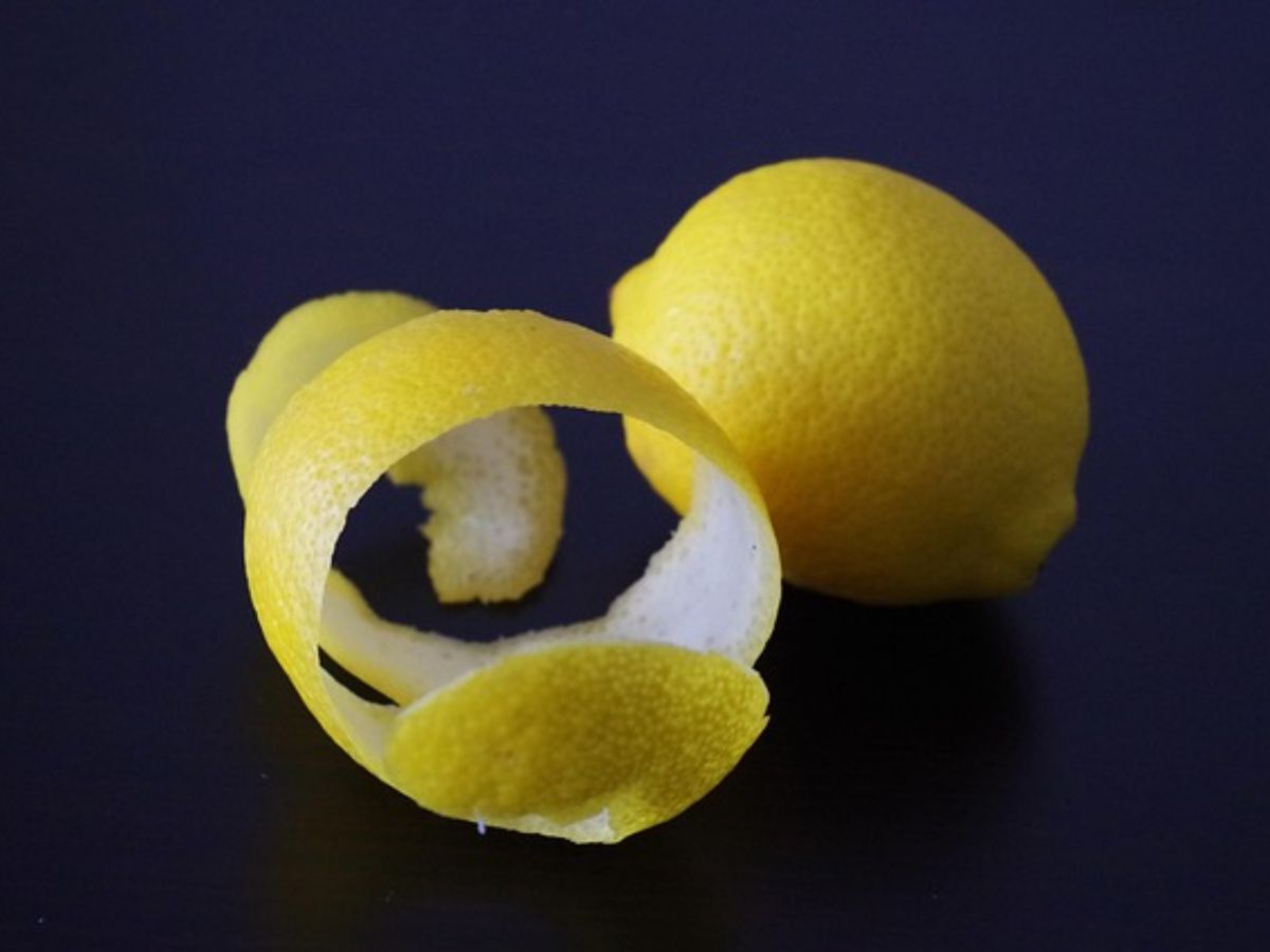 Lemon Peel Uses: हर बार फेंक देते हैं नींबू के छिलके? अब कभी नहीं करेंगे ये गलती, जानें इसके फायदे - Photo Gallery