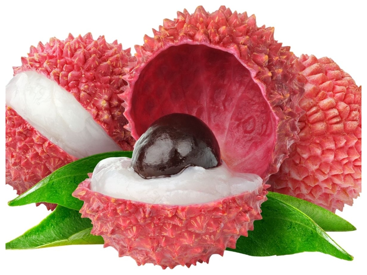 Benefits of litchi:  गर्मियों में लीची क्यों है सुपरफूड? जानें इसके फायदे और शरीर को हाइड्रेट रखने में कैसे है मददगार - Photo Gallery