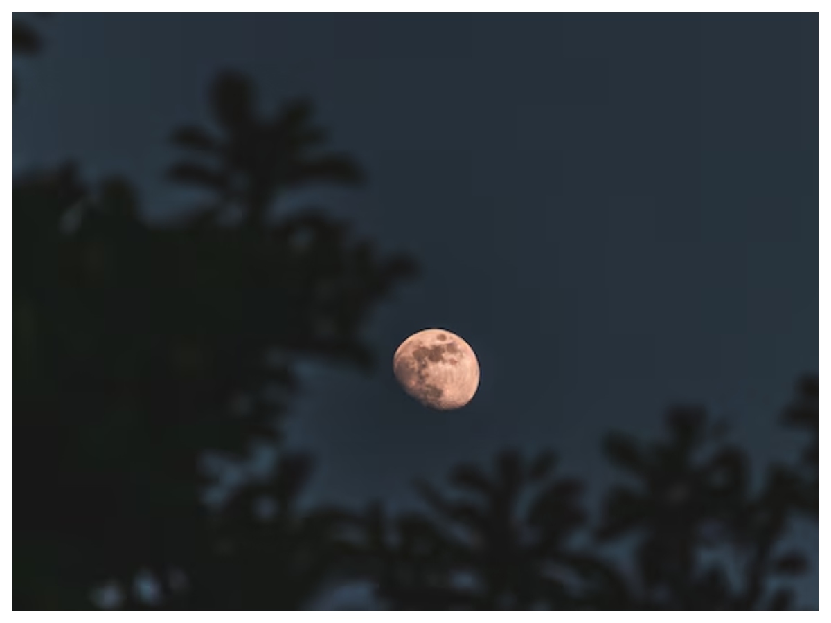 tomorrow grahan time: कल लगेगा साल का पहला चंद्र ग्रहण, जानें सूतक काल और सही टाइमिंग - Photo Gallery