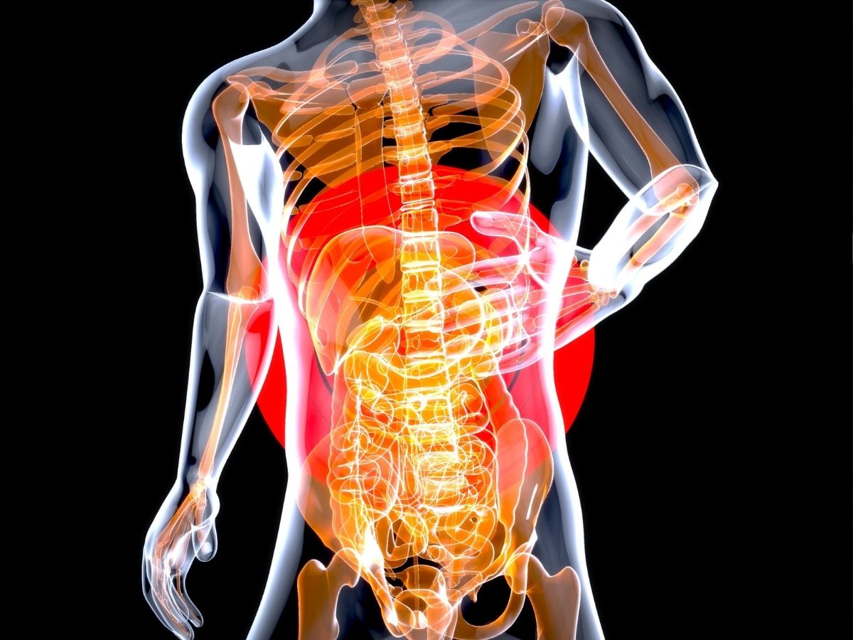 Man Periods: क्या सच में मर्दों को भी होता है पीरियड? झेलना पड़ते हैं क्रैंप्स; जानिए Man Periods के पीछे का विज्ञान - Photo Gallery