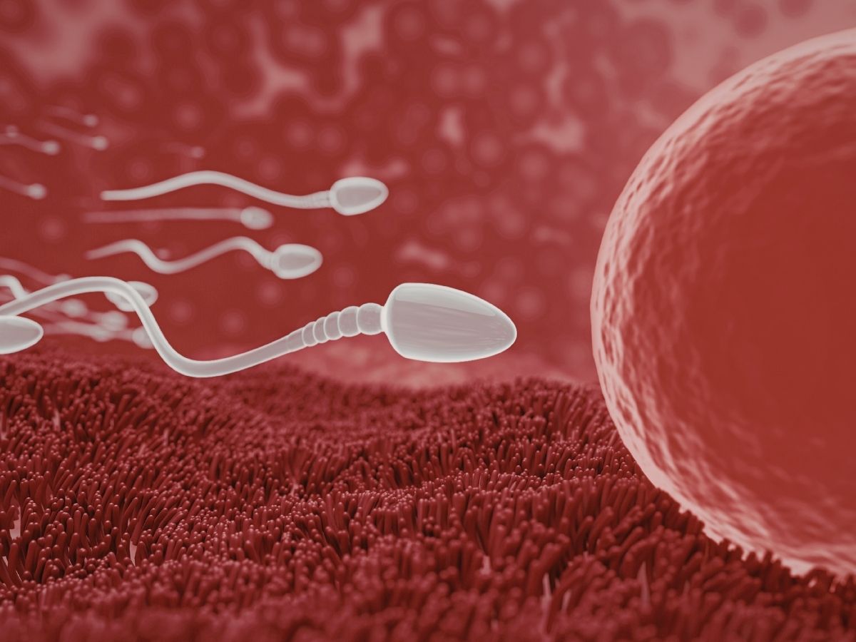 Man Periods: क्या सच में मर्दों को भी होता है पीरियड? झेलना पड़ते हैं क्रैंप्स; जानिए Man Periods के पीछे का विज्ञान - Photo Gallery