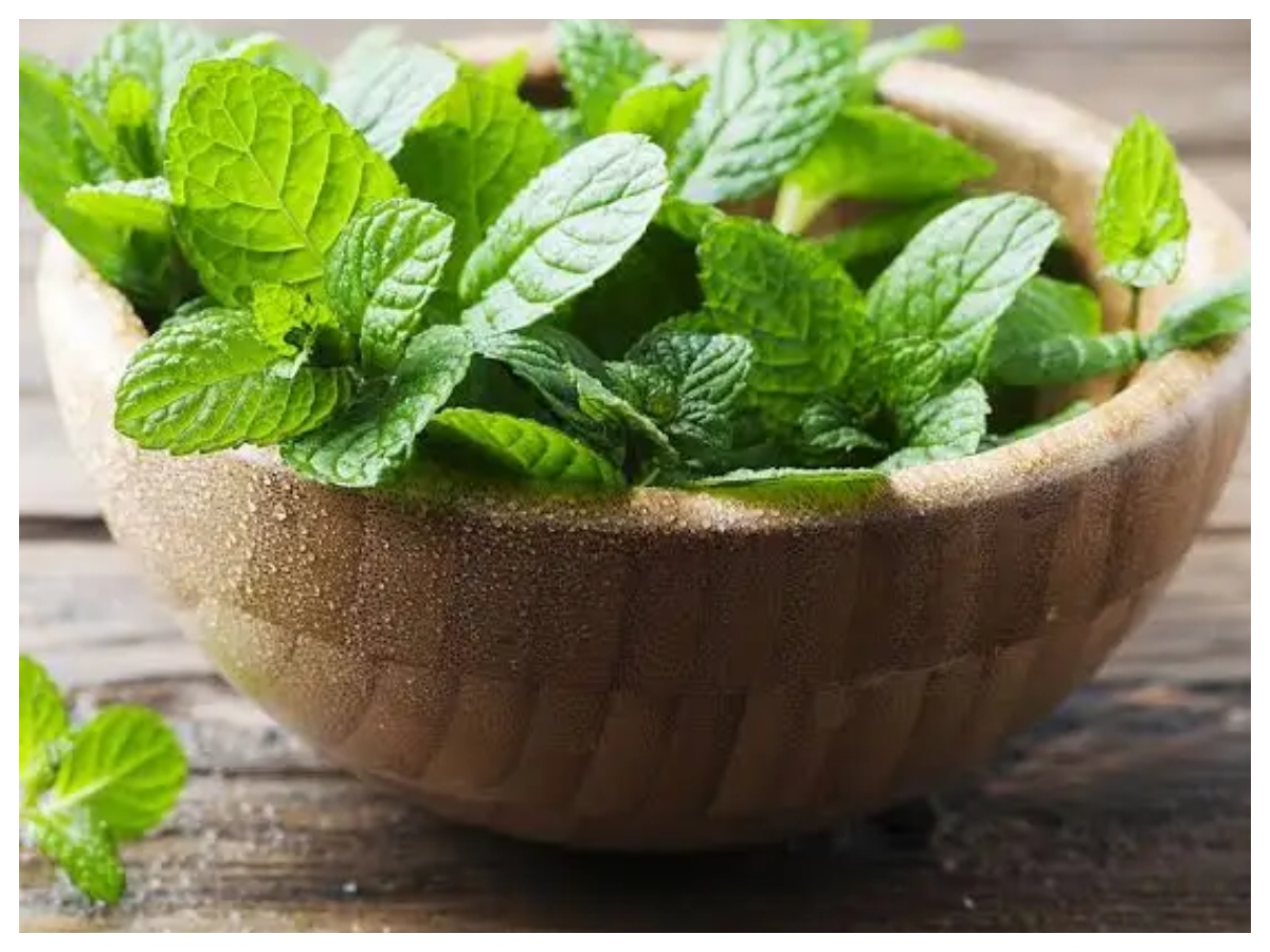 Loo Se Bachne Ke Upay: गर्मियों में खाने में शामिल करें ये चीजें, नहीं लगेगी लू और रहेंगे तरोताजा - Photo Gallery