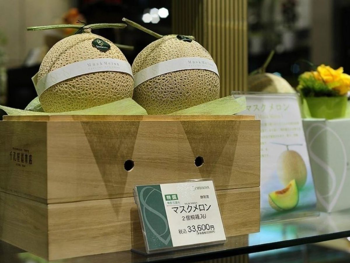 Luxury 6 Food Items: दुनिया की 6 सबसे महंगे खाने, जिससे राज घरानों में सजते थे दस्तरखान; खासियत जान आज ही करेगा खरीदने का मन - Photo Gallery