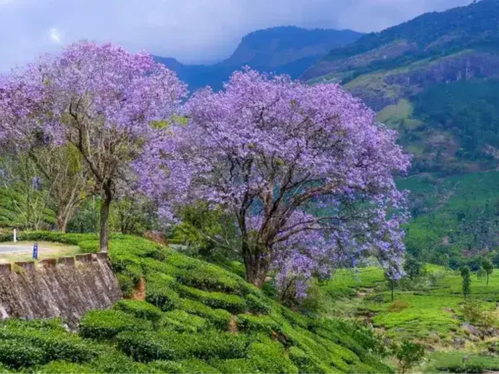 दोस्तों के साथ घूमने का बना रहे हैं प्लान; कश्मीर-मनाली नहीं ये 7 जगह हैं एकदम बेस्ट - Photo Gallery