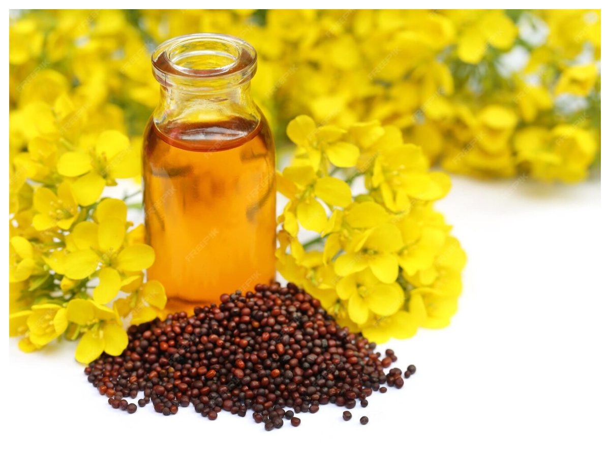 Benefits of applying mustard oil: नहाने से पहले सरसों का तेल लगाने के फायदे, त्वचा और सेहत दोनों के लिए फायदेमंद - Photo Gallery