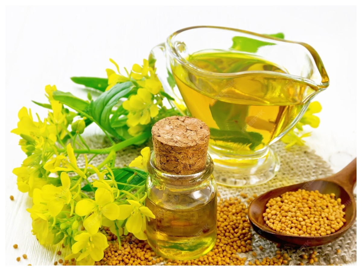 Benefits of applying mustard oil: नहाने से पहले सरसों का तेल लगाने के फायदे, त्वचा और सेहत दोनों के लिए फायदेमंद - Photo Gallery