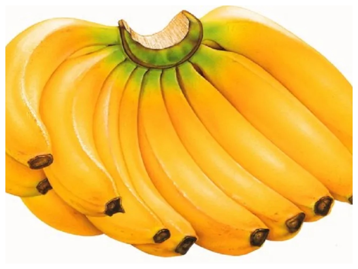 Navratri Bhog List: नवरात्र पर मां दुर्गा को प्रसन्न करने के लिए हर दिन लगाएं इन चीजों का भोग - Photo Gallery