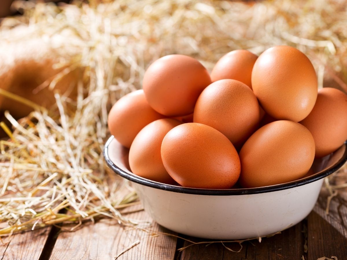 यहां मांस तो दूर अंडा खाना भी बन सकता है मुसीबत! नियम तोड़ने वालों को मिलती है कड़ी सजा; जानें नाम - Photo Gallery