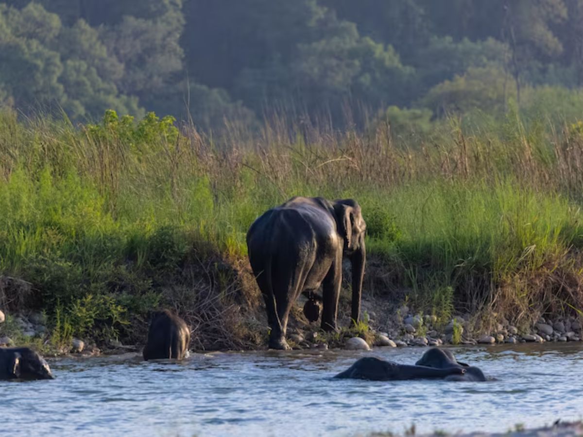 Long Weekend 2026: इस लॉन्ग वीकेंड को न करें बर्बाद, दिल्ली की भीड़-भाड़ से दूर, इन जगहों को करें एक्सप्लोर - Photo Gallery