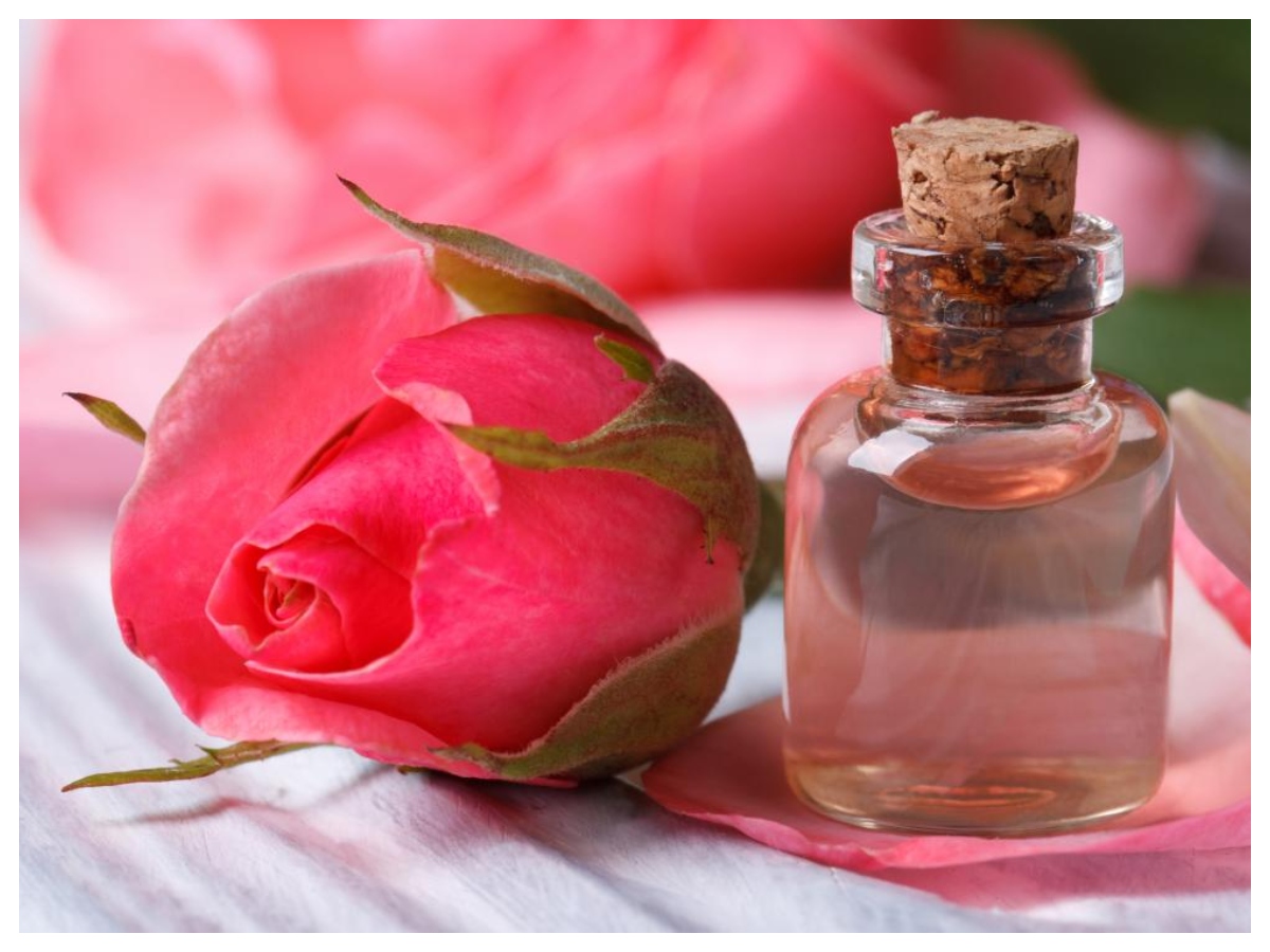 Tanning home remedies: गर्मियों में त्वचा को टैनिंग से कैसे बचाएं, जानें घरेलू उपाय - Photo Gallery