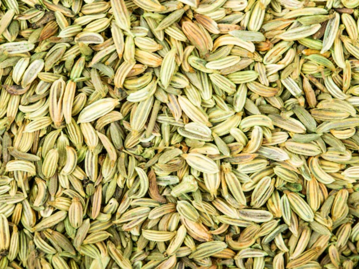 Summer cooling foods: गर्मी में शरीर को रखना है ठंडा तो इन चीजों का करें सेवन - Photo Gallery