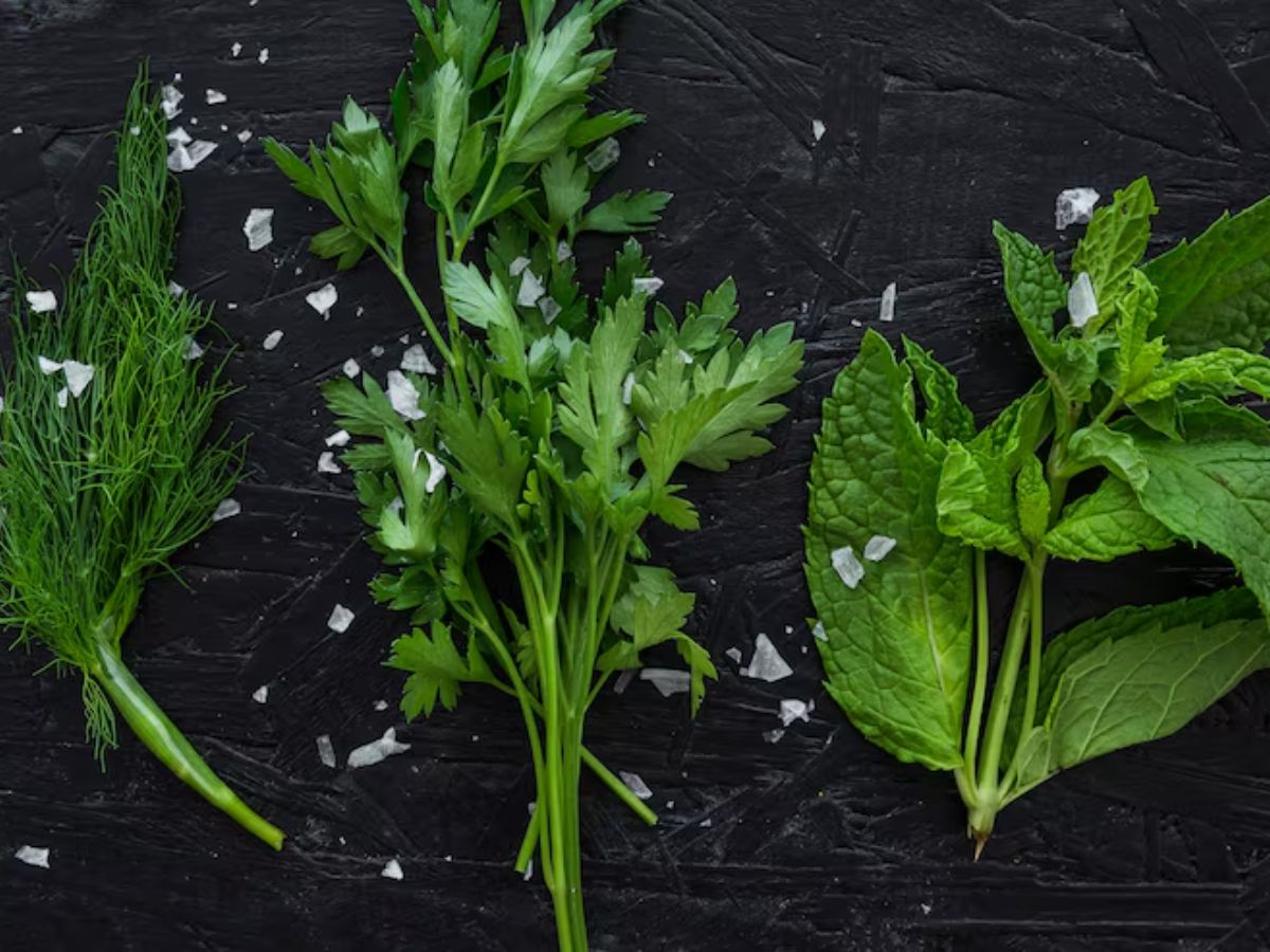 Garmi Me Kya Khaye: गर्मी में करें इन चीजों का सेवन, शरीर रहेगा ठंडा - Photo Gallery